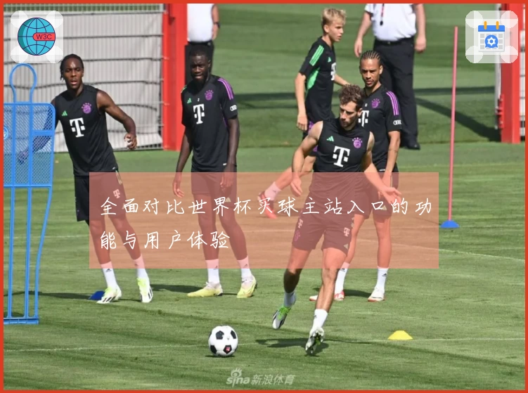 全面对比世界杯买球主站入口的功能与用户体验