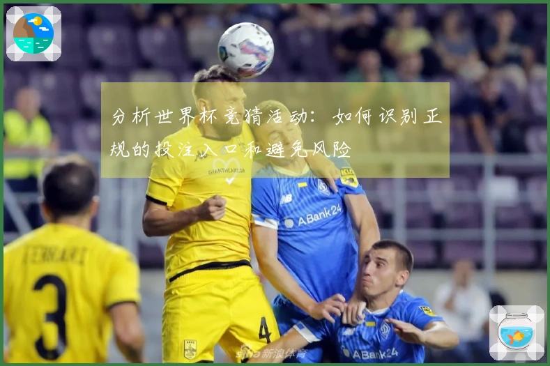 分析世界杯竞猜活动：如何识别正规的投注入口和避免风险
