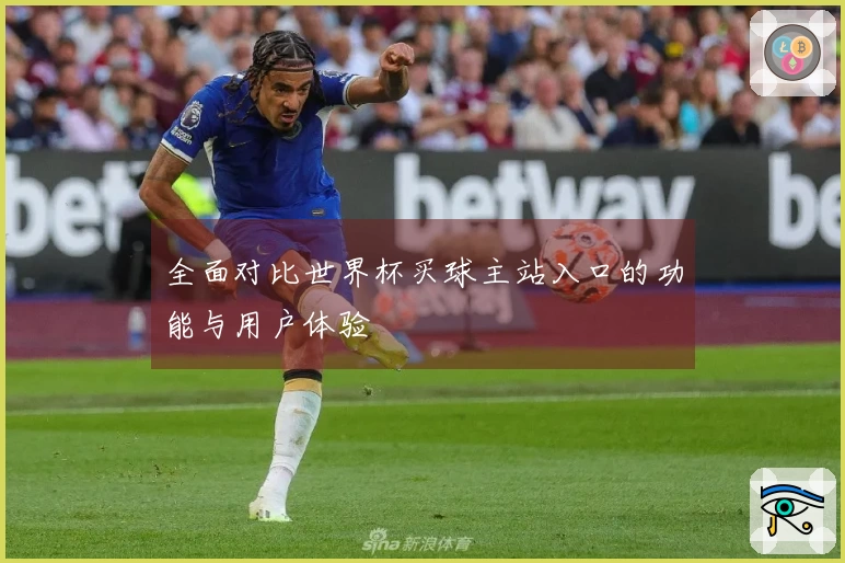 全面对比世界杯买球主站入口的功能与用户体验